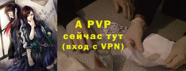 дмт Алексин