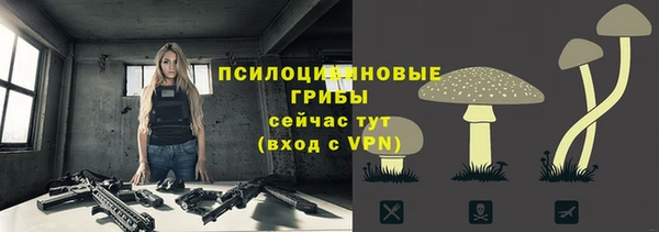 тгк Алексеевка