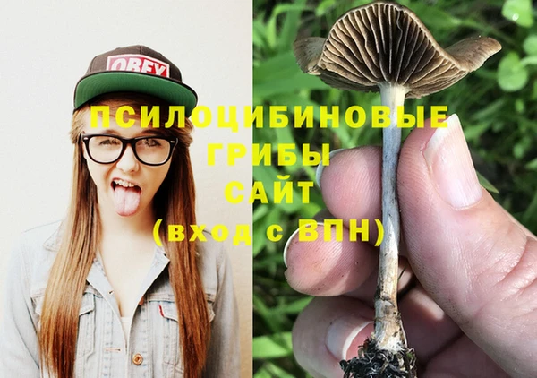 тгк Алексеевка