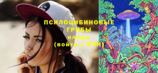 тгк Алексеевка