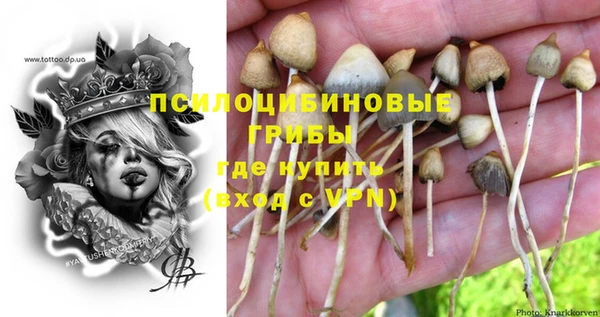 дмт Алексин