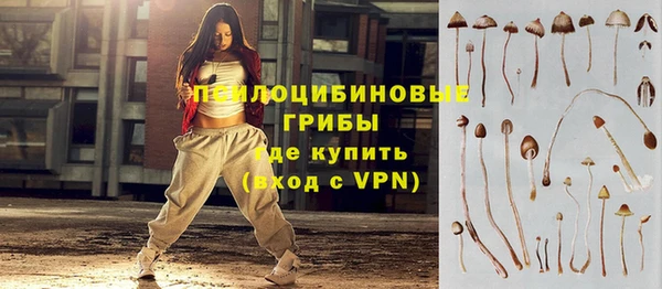 Альфа ПВП Алзамай