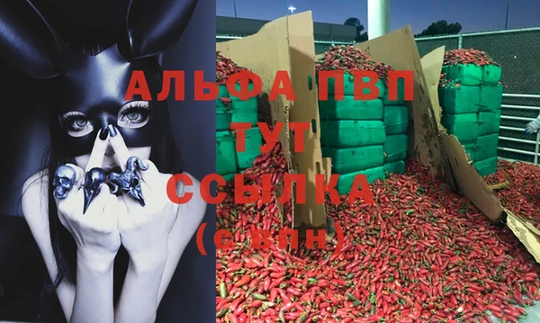 дмт Алексин