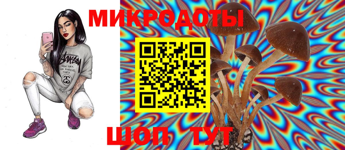 Псилоцибиновые грибы GOLDEN TEACHER Чебаркуль